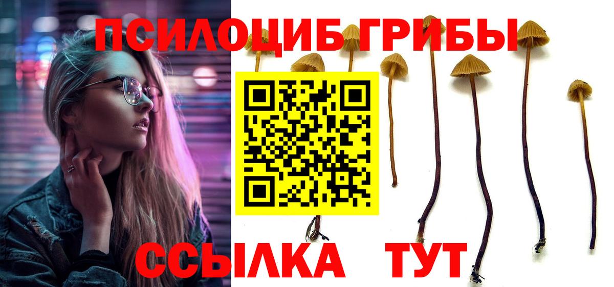 Галлюциногенные грибы мицелий  Вход с VPN  Псилоцибиновые грибы MAGIC MUSHROOMS  Прокопьевск 